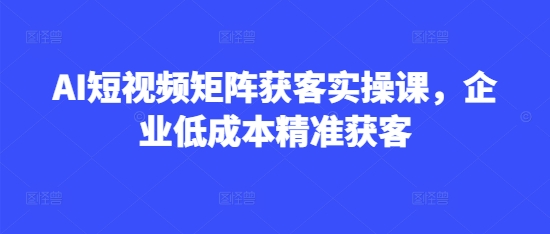 AI短视频矩阵获客实操课，企业低成本精准获客_久创网
