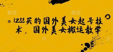 1288买的国外美女起号技术，国外美女搬运教学_久创网