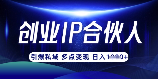 云帆·创业ip合伙人打造3.0，从0到1教你做网创，实现月入过W_久创网