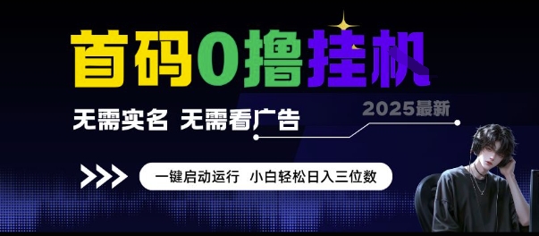首码0撸挂G项目，无需实名无需看广告 一键启动运行，小白轻松日入三位数【揭秘】_久创网