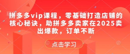 拼多多vip课程，零基础打造店铺的核心秘诀，助拼多多卖家在2025卖出爆款，订单不断_久创网