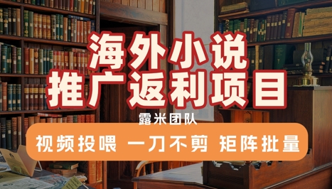 海外小说推广返利项目，视频投喂， 一刀不剪，矩阵批量_久创网