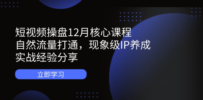短视频操盘12月核心课程：自然流量打通，现象级IP养成，实战经验分享_久创网