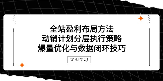 全站盈利布局方法：动销计划分层执行策略，爆量优化与数据闭环技巧_久创网