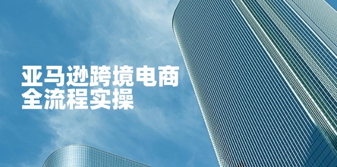 亚马逊跨境电商全流程实操，教你从零开始，掌握店铺运营与广告技巧_久创网