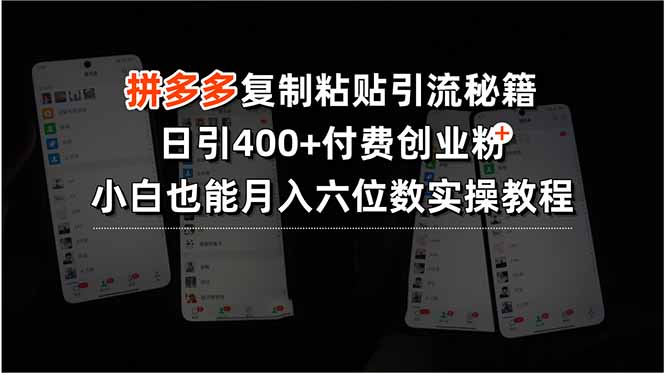 拼多多复制粘贴引流秘籍，日引400+付费创业粉，小白也能月入六位数实操..._久创网