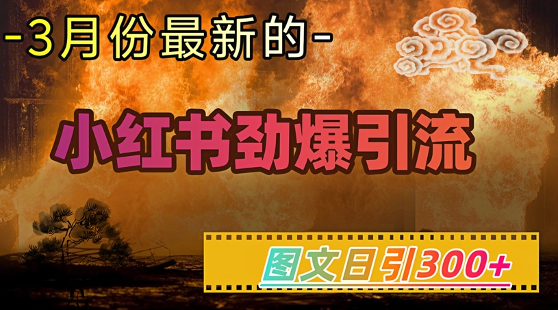 小红书超劲爆引流手段，图文日引300+轻松变现1W_久创网