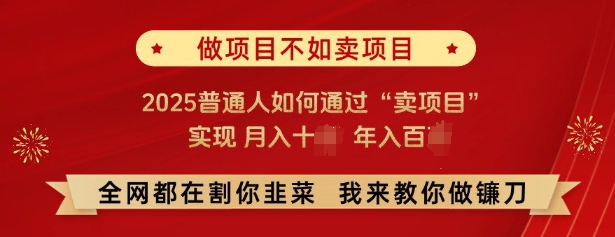 必看，做项目不如卖项目，2025普通人如何通过“卖项目”实现月入十个，年入百个_久创网