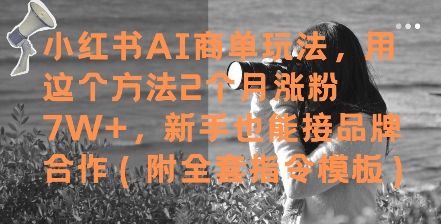 小红书AI商单玩法，用这个方法2个月涨粉7W+，新手也能接品牌合作(附全套指令模板)_久创网