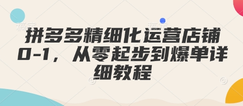 拼多多精细化运营店铺0-1，从零起步到爆单详细教程_久创网