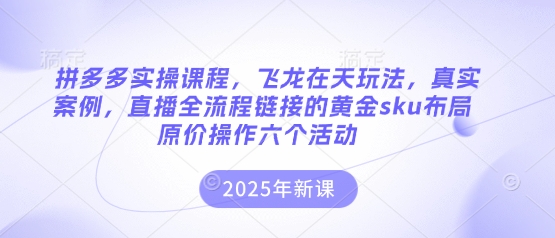 拼多多实操课程，飞龙在天玩法，真实案例，直播全流程链接的黄金sku布局原价操作六个活动_久创网