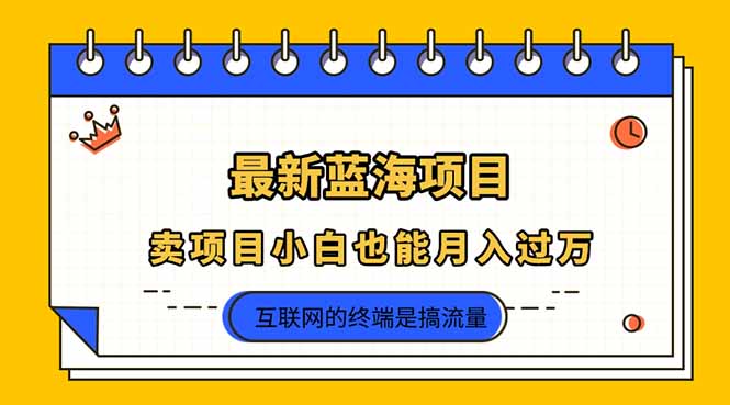 2025年最新蓝海项目，卖项目小白也能月入过万_久创网