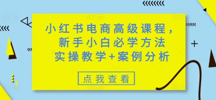 小红书电商高级课程，新手小白必学方法，实操教学+案例分析_久创网