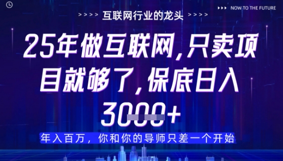 什么！25年你还在找项目做？风口早就变了，卖项目才是稳挣不赔【揭秘】_久创网