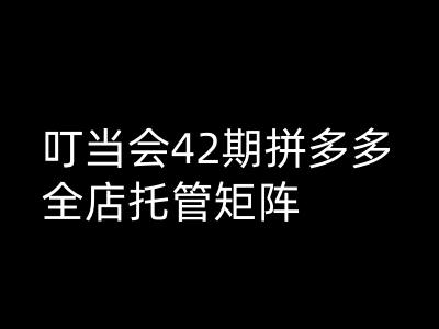 叮当会拼多多打爆班原创高阶技术第42期，拼多多全店托管矩阵_久创网