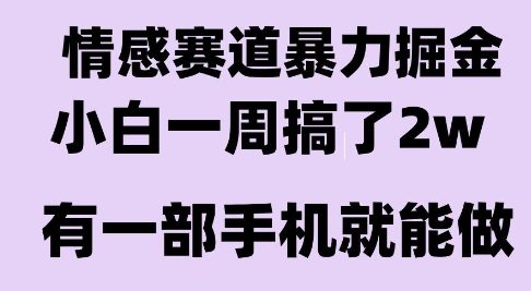 情感暴力掘金项目，新人操作一周挣了2W，长期稳定小白可做【揭秘】_久创网