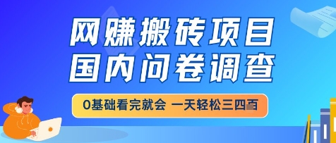 网创搬砖项目，国内问卷调查，小白轻松上手，一天三四张的也不难，干就完了【揭秘】_久创网