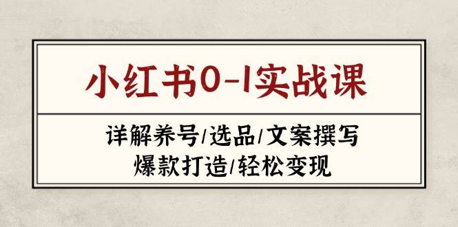 小红书0-1实战课(2023-2025)，详解养号/选品/文案撰写/爆款打造/轻松变现_久创网