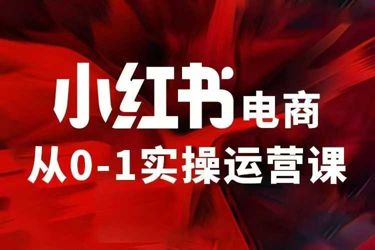 小红书电商运营，97节小红书vip内部课，带你实现小红书赚钱_久创网