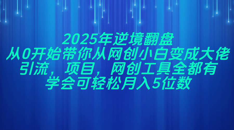 2025年逆境翻盘，从0开始带你从网创小白变成大佬，引流，项目，网创工..._久创网