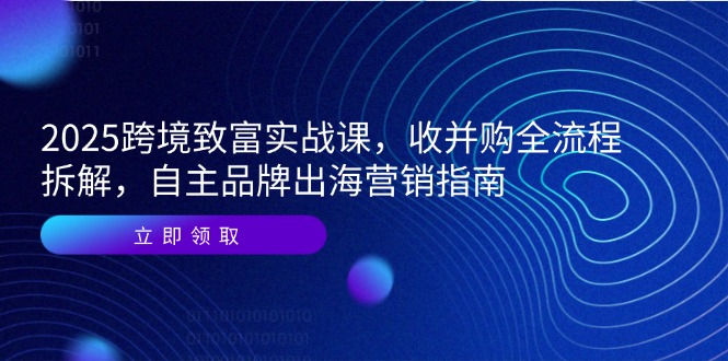 2025跨境致富实战课，收并购全流程拆解，自主品牌出海营销指南_久创网