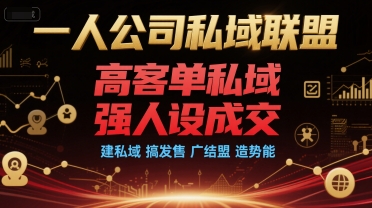 一人公司私域联盟，高客单私域，强人设成交，建私域 搞发售 广结盟 造势能_久创网