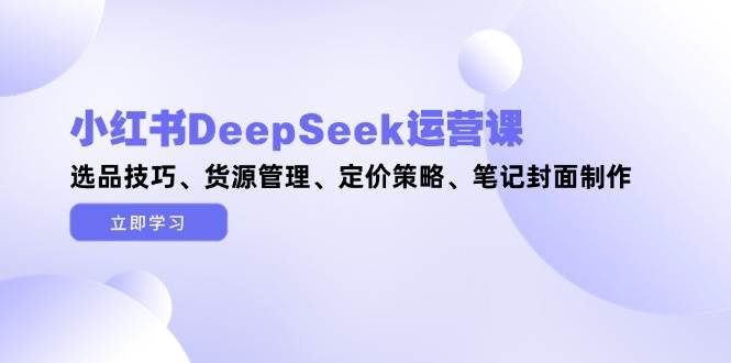小红书DeepSeek运营课，选品技巧、货源管理、定价策略、笔记封面制作_久创网