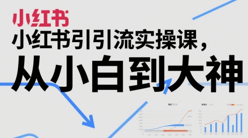 小红书引流实操课，从小白到大神_久创网