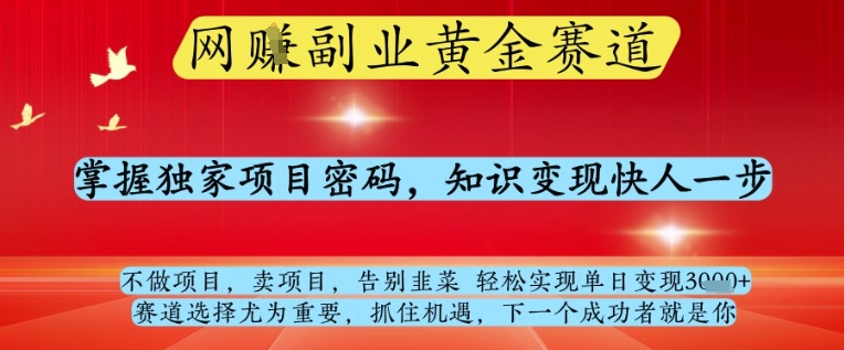 网创副业黄全赛道，掌握独家项目密码，知识变现快人一步，告别韭菜轻松实现单日变现1k+【揭秘】_久创网
