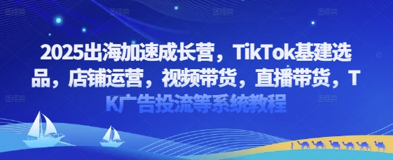 2025出海加速成长营，TikTok基建选品，店铺运营，视频带货，直播带货，TK广告投流等系统教程_久创网