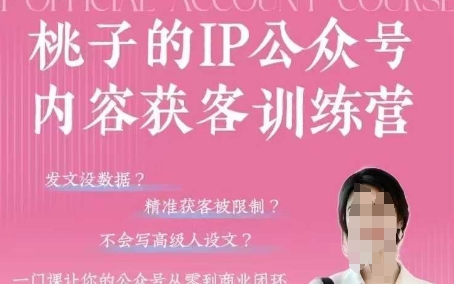 桃子IP公众号内容获客训练营(第3期)，一门让你公众号从0到商业闭环的课程_久创网