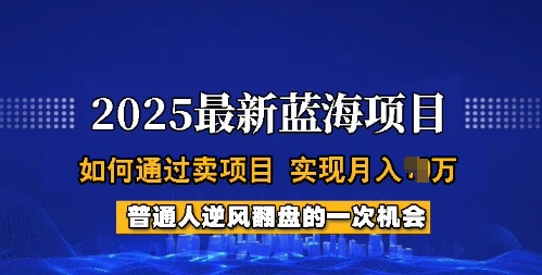 2025蓝海项目，普通人如何通过卖项目，实现月入过W，全过程【揭秘】_久创网