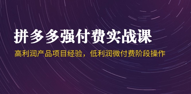 拼多多强付费实战课-44期，高利润产品项目经验，低利润微付费阶段操作_久创网