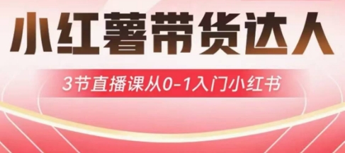 小红薯达人带货启航计划，3节直播课从0-1入门小红书_久创网