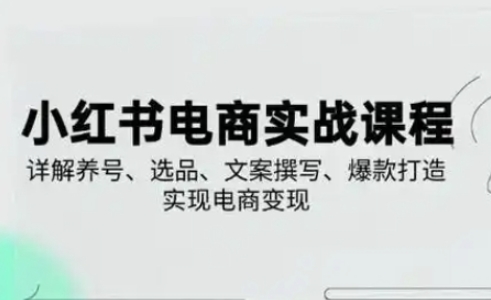 小红书从0-1实操课(2023-2025)，详解养号、选品、文案撰写、爆款打造实现电商变现_久创网
