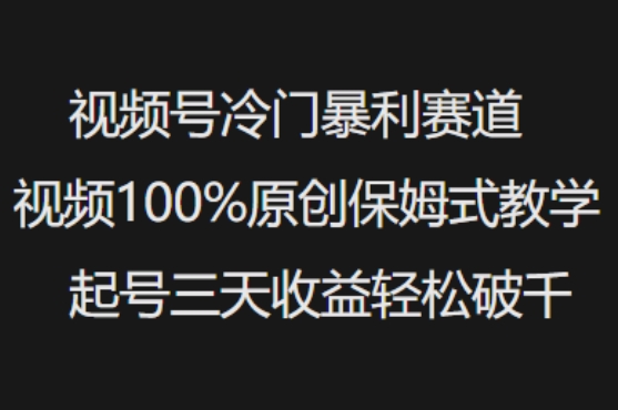 视频号冷门暴利赛道视频100%原创保姆式教学起号三天收益轻松破千_久创网
