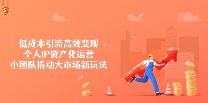 低成本引流高效变现，个人IP资产化运营，小团队撬动大市场新玩法_久创网