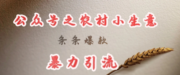 deepseek写农村小项目，条条爆款，暴力引流_久创网