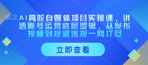 AI高阶自媒体项目实操课，讲透账号运营底层逻辑，从发布视频到规避违规一网打尽_久创网