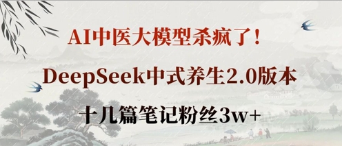 AI中医大模型杀疯了！DeepSeek中式养生2.0版本，十几篇笔记粉丝3w+_久创网