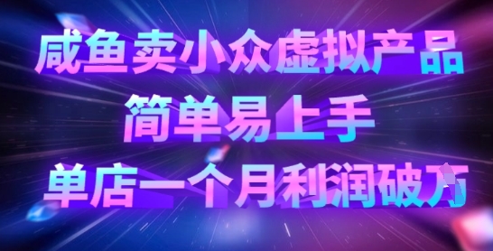 咸鱼卖小众虚拟产品，简单易上手，单店一个月利润破W_久创网