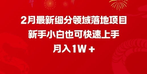 2月最新细分领域落地项目，新手小白也可快速上手，月入1W_久创网