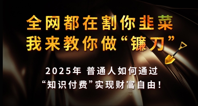 全网都在割你韭菜，我来教你做镰刀，2025年普通人如何通过 知识付费 实现财F自由【揭秘】_久创网