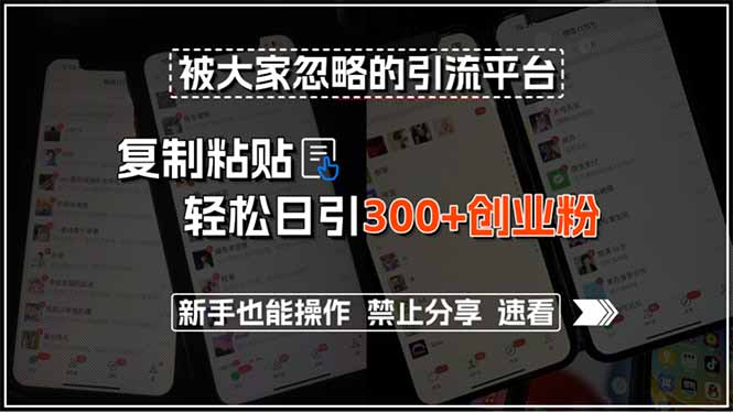 被大家忽略的引流平台，复制粘贴轻松日引300+创业粉，新手也能操作，禁..._久创网