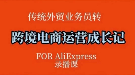 跨境电商速卖通运营课，​运营方法论+后台实操，逻辑清晰_久创网