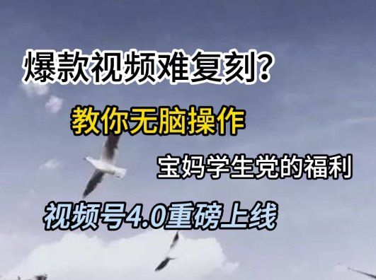 视频号4.0重磅上线，爆款视频难复刻？教你无脑操作宝妈学生党的福利【揭秘】_久创网