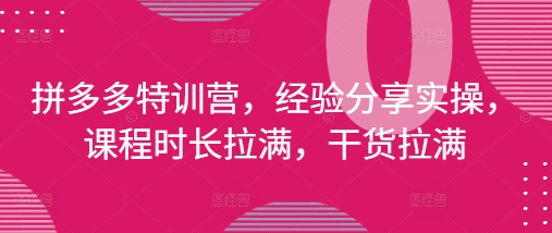 拼多多特训营，经验分享实操，课程时长拉满，干货拉满(更新25年4月)_久创网