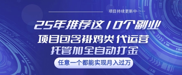 25年推荐这10个副业项目包含褂鸡类、代运营托管类、全自动打金类【揭秘】_久创网