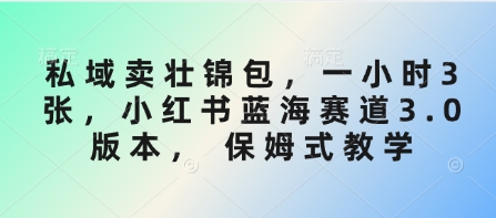 私域卖壮锦包，一小时3张，小红书蓝海赛道3.0版本， 保姆式教学_久创网