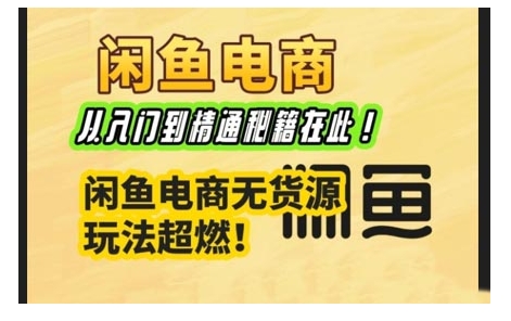 闲鱼电商实战课，从入门到精通秘籍在此，闲鱼电商无货源玩法超燃!_久创网